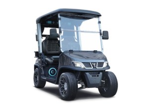 Tara Roadster 2 Seater Evolution Lithium Golf Cart Arctic Gray